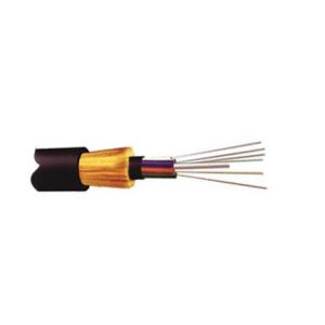 300m-24 Core ADSS Double Sheathed Cable Customizable Length Option