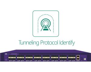 Cheap GRE PPTP PPPOE Ethernet Packet Generator Tool / Data Center Network Manager for sale