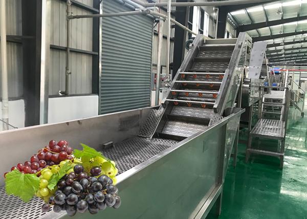 Quality Water Saving Fruit Juice Processing Equipment Fresh Grape Washing Machine Environment Friendly wholesale