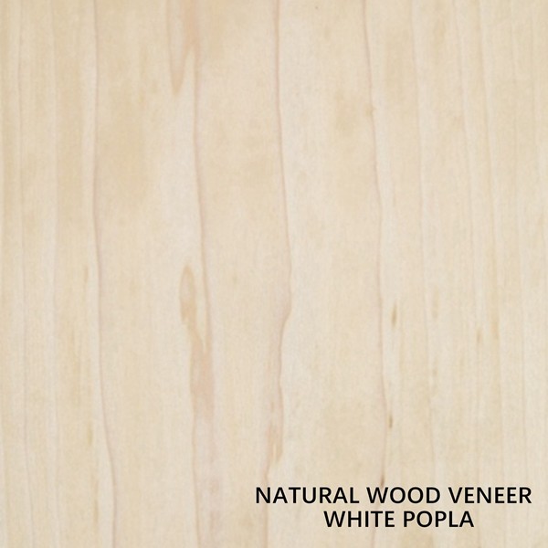 Quality Natural White Poplar Wood Veneer Size 2440*1220mm Thickness 0.4mm For Furniture Project Decoration wholesale