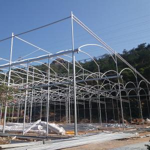 Single Layer Greenhouse Hydroponics System Wrought Iron Greenhouse With Film