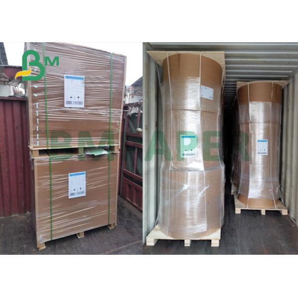 Natural cup stock paper