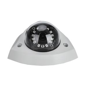 720p Waterproof Dome Camera Night Vision CCD Sensor H.264 Video Compression OEM