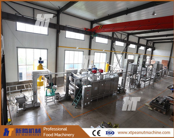 Quality Full Automatic Nuts Roaster Machine Continuous 300kg/H Peanut Roasting Equipment wholesale