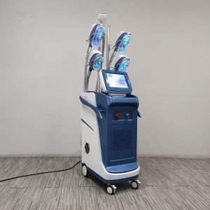 Vertical 360 Fat Freezing Machine OEM lipo cavitation with vacuum