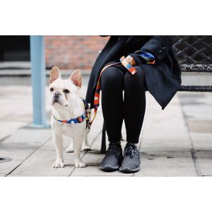 Y Front Polyester Hidream Profusion Dog Harness With Adjustable Neck And Chest S