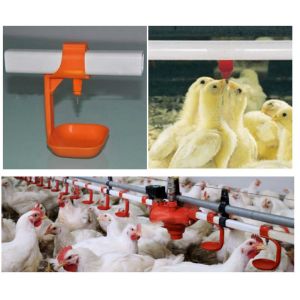 Yellow Poultry Auto Drinker System Broiler Nipple Drinker With Cup