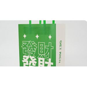 Custom Color Accepted Shopping Bag Handle Kraft Paper Shop Bag for Business and