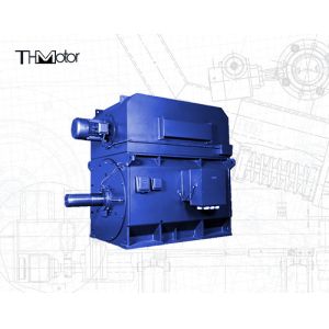 IP55 94.5% Adjusting Speed Three Phase Asynchronous Motor IEC DNV GB