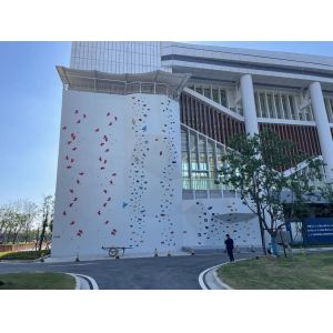 Indoor Adult Speed Climbing Holds EN 12572 For University Club