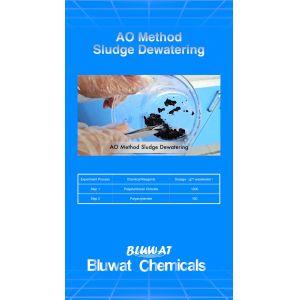 Anoxic Oxic AO Method Sludge Dewatering Anionic Polyacrylamide