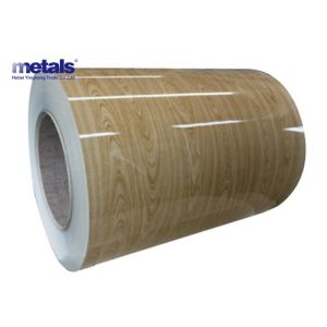 Attractive Colors Prepainted Galvanized Steel Coil 0.12-2.0mm
