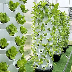 14 Layer 112 Site Vertical Hydroponic System With Automatic Drip