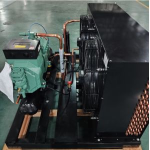 Customized Refrigeration Cold Room Condensing Unit Piston Compressor