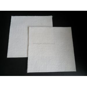 200gsm/300gsm/400gsm Nonwoven Geotextile for Modern Park Design Style PP