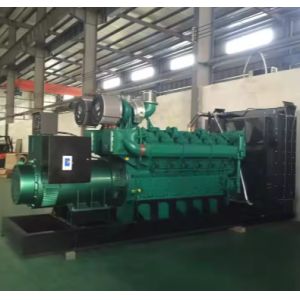 400KVA Natural Gas Generator Lpg Generator 320KW Biogas Generator With Power