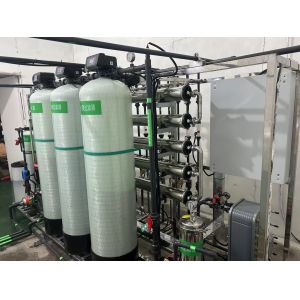 1T/H Reverse Osmosis System Secondary Stage With Simens PLC Control Cabinet For