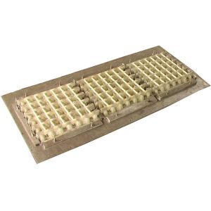 apple fruit tray processing machinery(FC-ZMW-3)