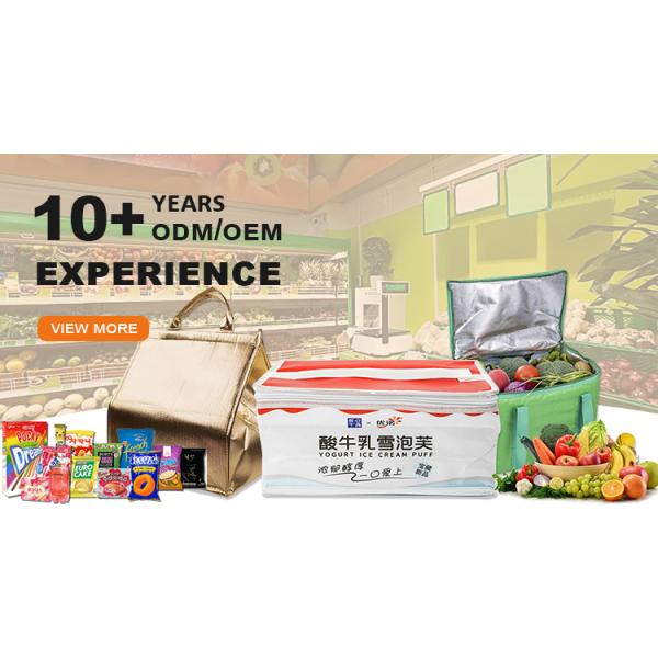 Food Portable Carrier Mini Cooler Bag with Thermal Design and Heavy Duty Zipper Closure