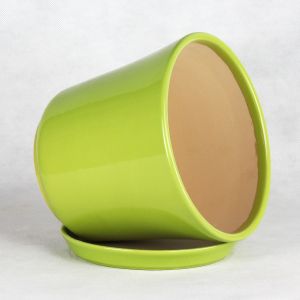 Customizable Ceramic Pots To Meet Your Specific Planting Requirements