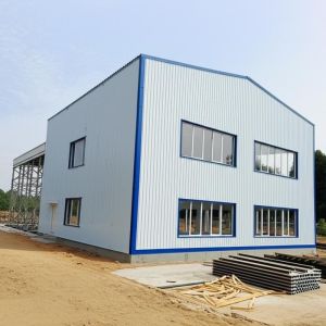 Custom Light Steel Structure Building with EPS Insulation