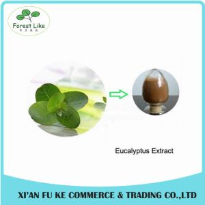 Pure Natural Eucalyptus Leaf Extract Powder 10:1 20:1