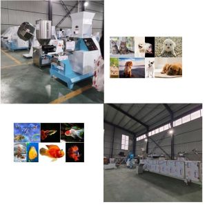 Automatic Extruder Feed Puffing Production Line 50 kg / h to 5000 kg / h