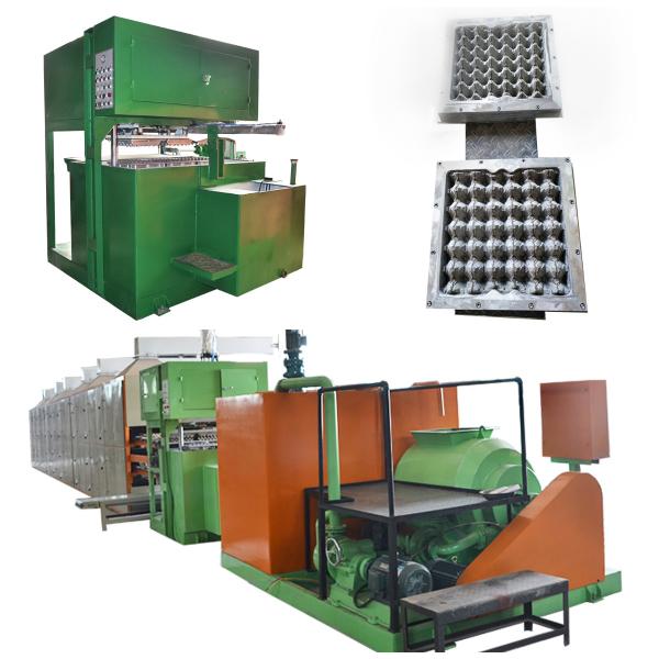 Quality Automatic Paper Egg / Apple Tray Making Machine With Stainless Steel Forming Molds wholesale