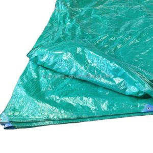 0.5-20M Width PE Waterproof Tarpaulin with Logo Printing Durable