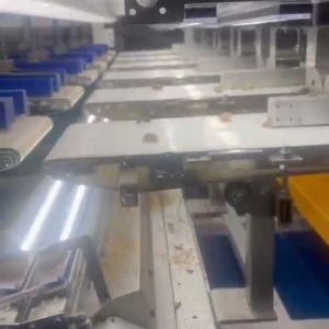 Walnut Kernel Sorting Machine With Smart Dual-Camera Scanning AI-Powered Deep