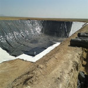 Pool Waterproof Projects GM13 1.5mm Thick HDPE Geomembrane for Outdoor Rubber