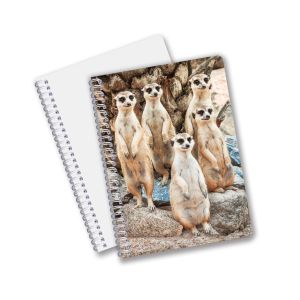 China Factory 3D Lenticular Custom offset Printed PET A3/A4/A5/A6 Notebooks