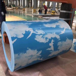 PPGI Coils in RAL Color Red Violet Blue Green for Roofing Sheet Width 700-900MM