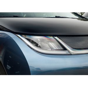 Hot Selling New Version Automatic High Speed BYD Whale Pure New Energy Electric