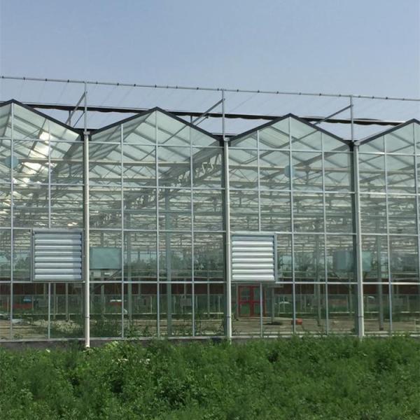 Stability Venlo Type Greenhouse / High Standard Venlo Glasshouse Good Appearance