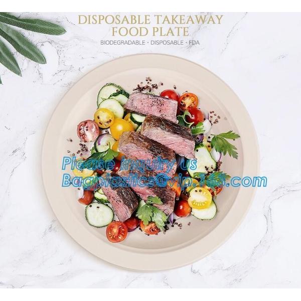 custom printed party plates disposable sugarcane bagasse plate Biodegradable
