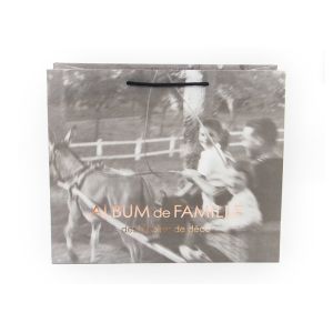 Fancy Personalised Paper Bags / Printed Paper Carrier Bags Offset Printing