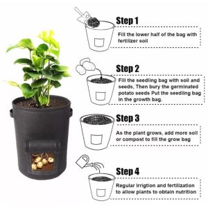 Manufacturers cross - border production batch environmental protection seedling