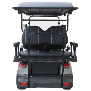 Off Road 6 Passenger Electric Hunting Golf Cart with Powerful 5KW Motor and Long