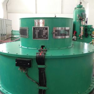 Eco-Friendly Power Generation Stainless Steel Runner Kaplan Water Turbine Hydro