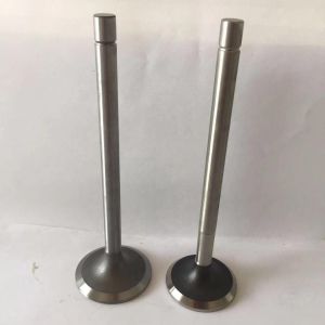 FD35 FE6 Machinery Engine Valve For Car Engine Parts 13201-Z5501 13202-Z5502