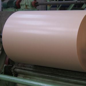 OEM ODM 80gsm Large Kraft Paper Roll Uncoated Brown Anti Collision