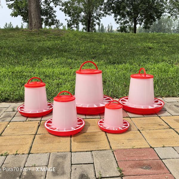 Quality Poultry Automatic Pet Feeder Thickened Plastic Material Durable Sturdy wholesale