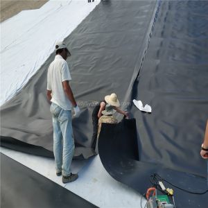 Custom 1mm 0.5mm HDPE Dam Liner in Kenya 500 Microns Geomembrane Pond Liner
