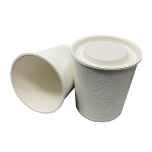 Wet Press Sugarcane Pulp Packaging , Eco Friendly Molded Paper Packaging