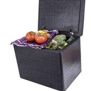 50 Litre 60 Litre 66l Insulated Cooler Box Portable Folding Box Lightweight Epp