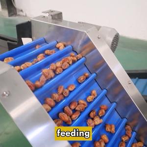 Cheap Maximizing Productivity In Date Sorting Machine Hourly Capacity Up To 2 Tons for sale