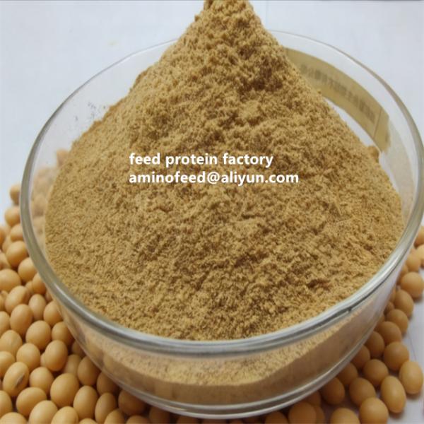 Quality Replace Fish Meal With Amino Acid Feed For Poultry And Aquatic Animals Non-GMO Soybean Concentrates 50% Protein wholesale