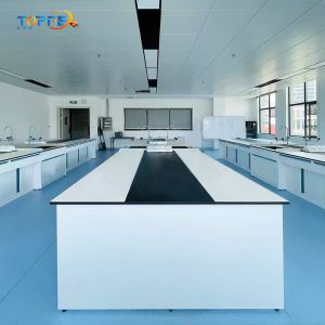 Customized Lab Work Benches in White/Black/Grey with Cupboard Yes/No