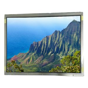 Cheap 19.0 inch 86PPI NL128102BC29-01 TFT LCD Display panel for sale